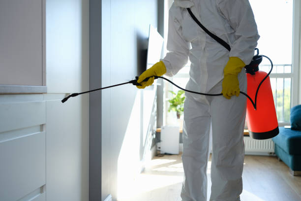 Best Mold Testing and Inspection Services in Flence, OR
